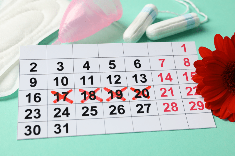 IVF Treatment in Early Menopause
